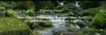 Finding Nature - Ronald Karle Music Composer and Arranger