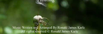 Floating - Ronald Karle Music Composer and Arranger