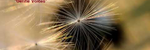 Gentle Voices Classical Arrangement - Ronald Karle Music Composer and Arranger