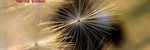 Gentle Voices - Ronald Karle Music Composer and Arranger