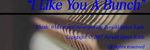 I Like You A Bunch Rag - Ronald Karle Music Composer and Arranger