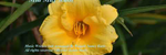 Mid May Rain - Ronald Karle Music Composer and Arranger
