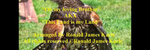 My loving Brother AKA This Land is My Land - Ronald Karle Music Composer and Arranger (My loving Brother aka. This Land is My Land)