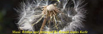 Never Easy - Ronald Karle Music Composer and Arranger