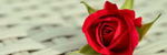 The Last Love  Nocturne #142 - Ronald Karle Music Composer and Arranger (The Last Love - Nocturne #142)