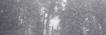 The Night of Gentle Snow Nocturne #180 - Ronald Karle Music Composer and Arranger (Nocturne #180 - The Night of Gentle Snow)