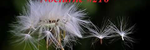 Nocturne #216 - Ronald Karle Music Composer and Arranger
