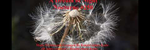 A Dream of Night Nocturne #250 - Ronald Karle Music Composer and Arranger (Nocturne #250 - A Dream of Night)