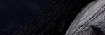 Nocturne #79 - Ronald Karle Music Composer and Arranger