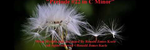 Prelude #22 in C Minor - Ronald Karle Music Composer and Arranger