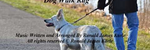 Dog Walk Rag - Ronald Karle