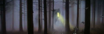 Night of the Forgotten - Ronald Karle