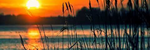 Silence of the Dawn - Ronald Karle