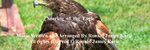 Soaring of the Eagle - Ronald Karle Music Composer and Arranger