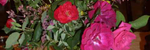 The Garden Waltz - Ronald Karle Music Composer and Arranger
