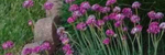 Walk With Contentment Re mastered - Ronald Karle Music Composer and Arranger