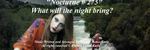 What will the night bring - Ronald Karle Music Composer and Arranger
