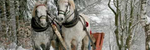 Winter Ride - Ronald Karle Music Composer and Arranger