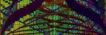 large MIDIs with Wasabi on a fairly low-end laptop - HDSQ (Tau &tau;)